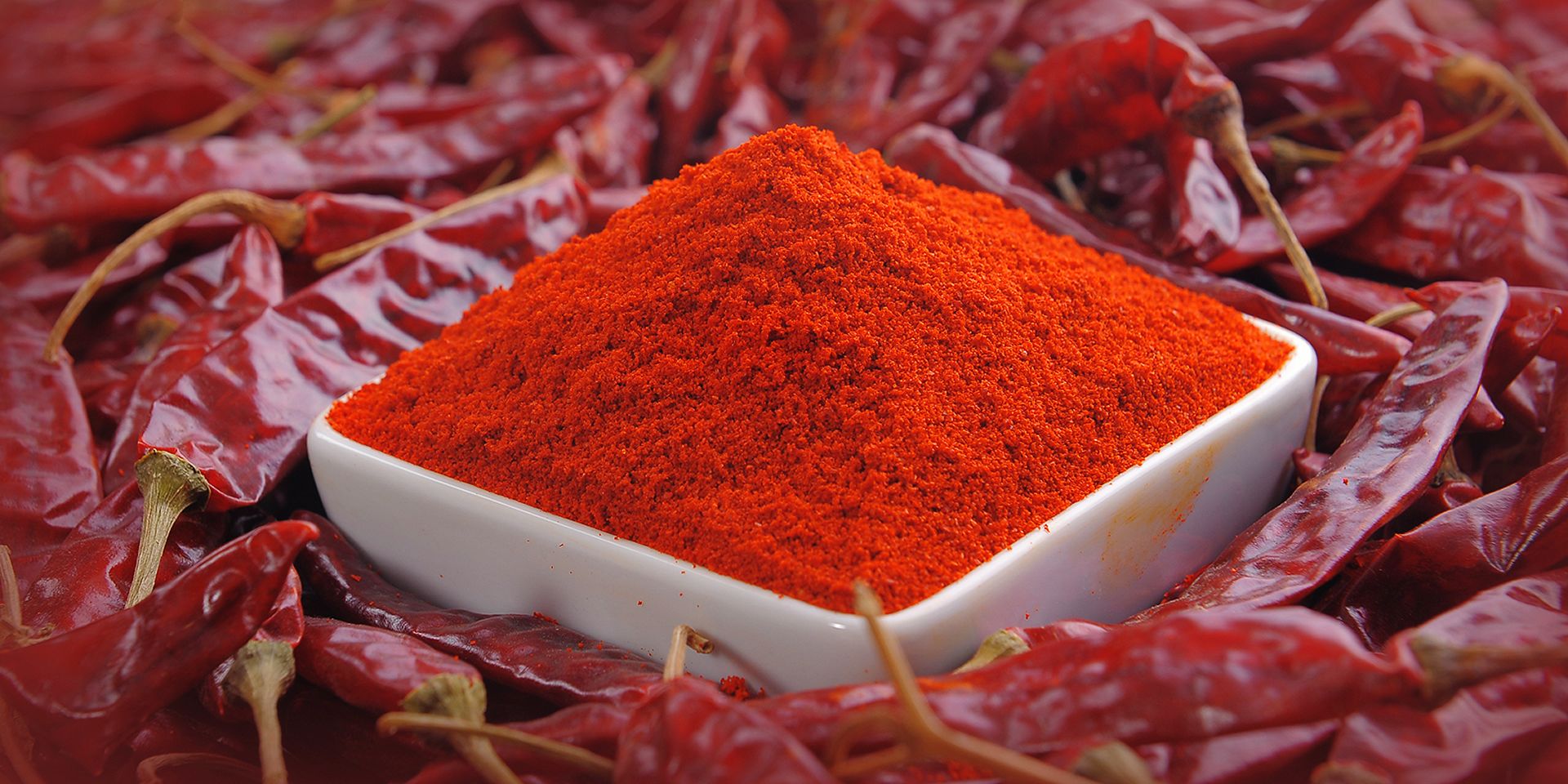 Byadgi Chilli, Kashmiri Chilli, Dry Red Chilli, B D Patil, B D Patil & Company, Chilli Merchants, Byadgi, Karnataka, India, Chilli, Chillies, Cilli powder, Red Chilli, Red Chilli Powder, Dry chilli, Chilli flakes, Chilli Seeds, Chilli Seed Oil, Paprika Oleoresin