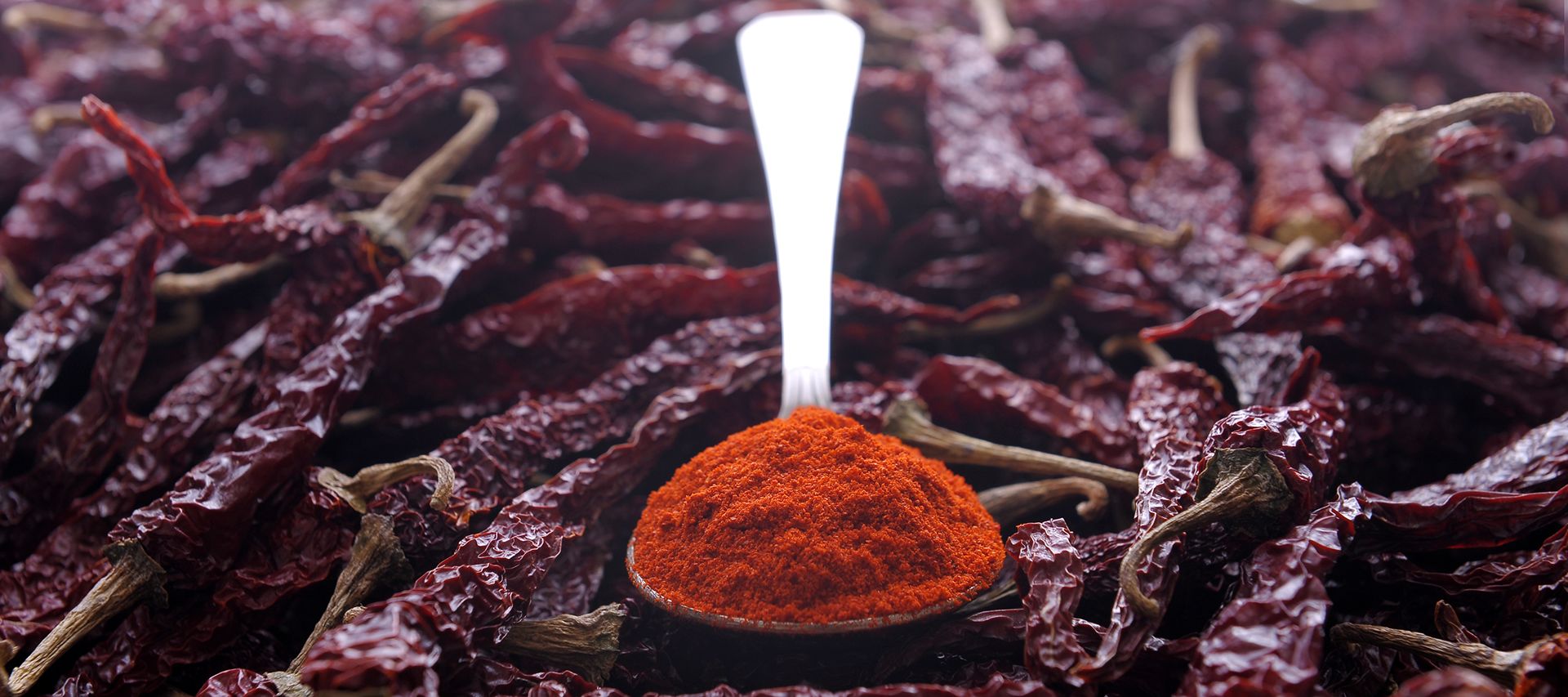 Byadgi Chilli, Kashmiri Chilli, Dry Red Chilli, B D Patil, B D Patil & Company, Chilli Merchants, Byadgi, Karnataka, India, Chilli, Chillies, Cilli powder, Red Chilli, Red Chilli Powder, Dry chilli, Chilli flakes, Chilli Seeds, Chilli Seed Oil, Paprika Oleoresin