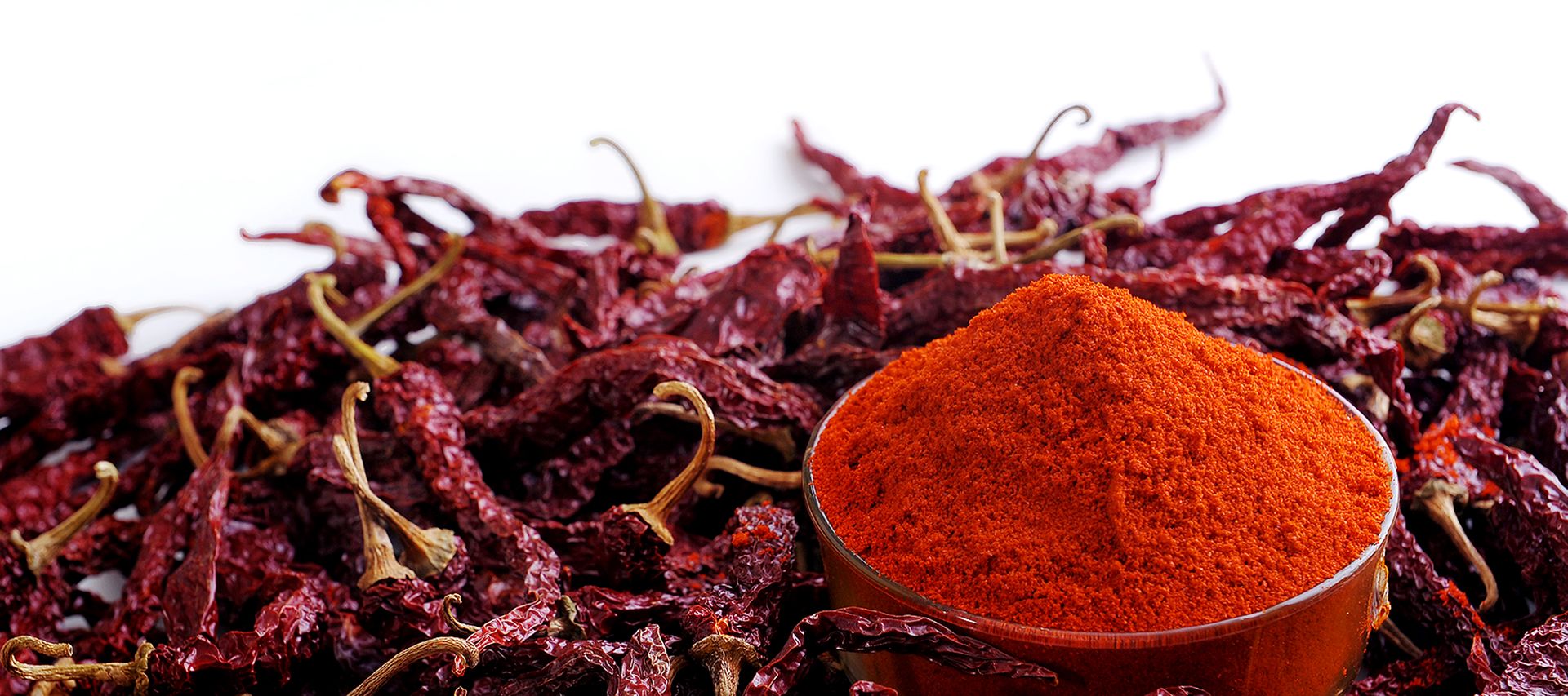  Byadgi Chilli, Kashmiri Chilli, Dry Red Chilli, B D Patil, B D Patil & Company, Chilli Merchants, Byadgi, Karnataka, India, Chilli, Chillies, Cilli powder, Red Chilli, Red Chilli Powder, Dry chilli, Chilli flakes, Chilli Seeds, Chilli Seed Oil, Paprika Oleoresin